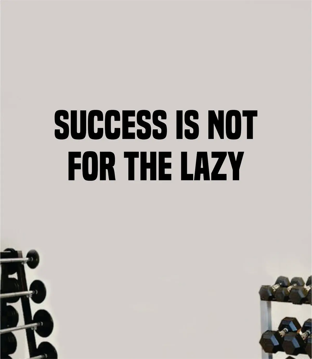 Success Is Not For The Lazy Wall Decal Home Decor Bedroom Room Vinyl Sticker Art Teen Work Out Quote Beast Gym Fitness Lift Strong Inspirational Motivational Health 1