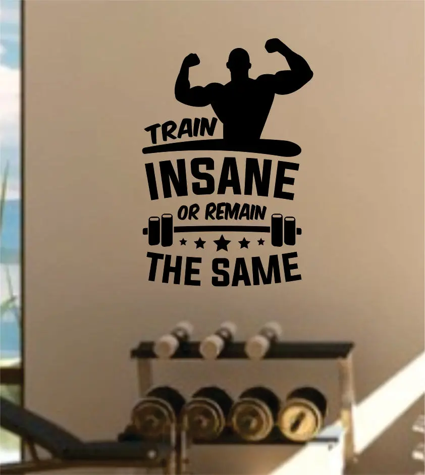 Train Insane Or Remain The Same V2 Wall Decal Sticker Vinyl Art Bedroom Room Home Decor Inspirational Motivational Teen Gym Fitness Health Lift 1