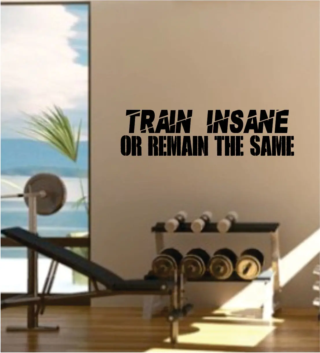 Train Insane Or Remain The Same Quote Fitness Health Work Out Gym Decal Sticker Wall Vinyl Art Wall Room Decor Weights Dumbbell Motivation Inspirational 1