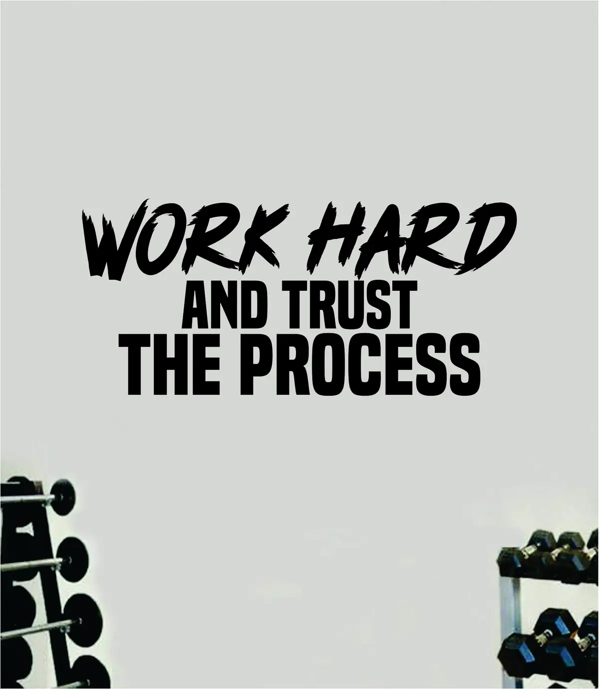 Work Hard Trust The Process Quote Wall Decal Sticker Vinyl Art Decor Bedroom Room Boy Girl Inspirational Motivational Gym Fitness Health Exercise Lift Beast 1