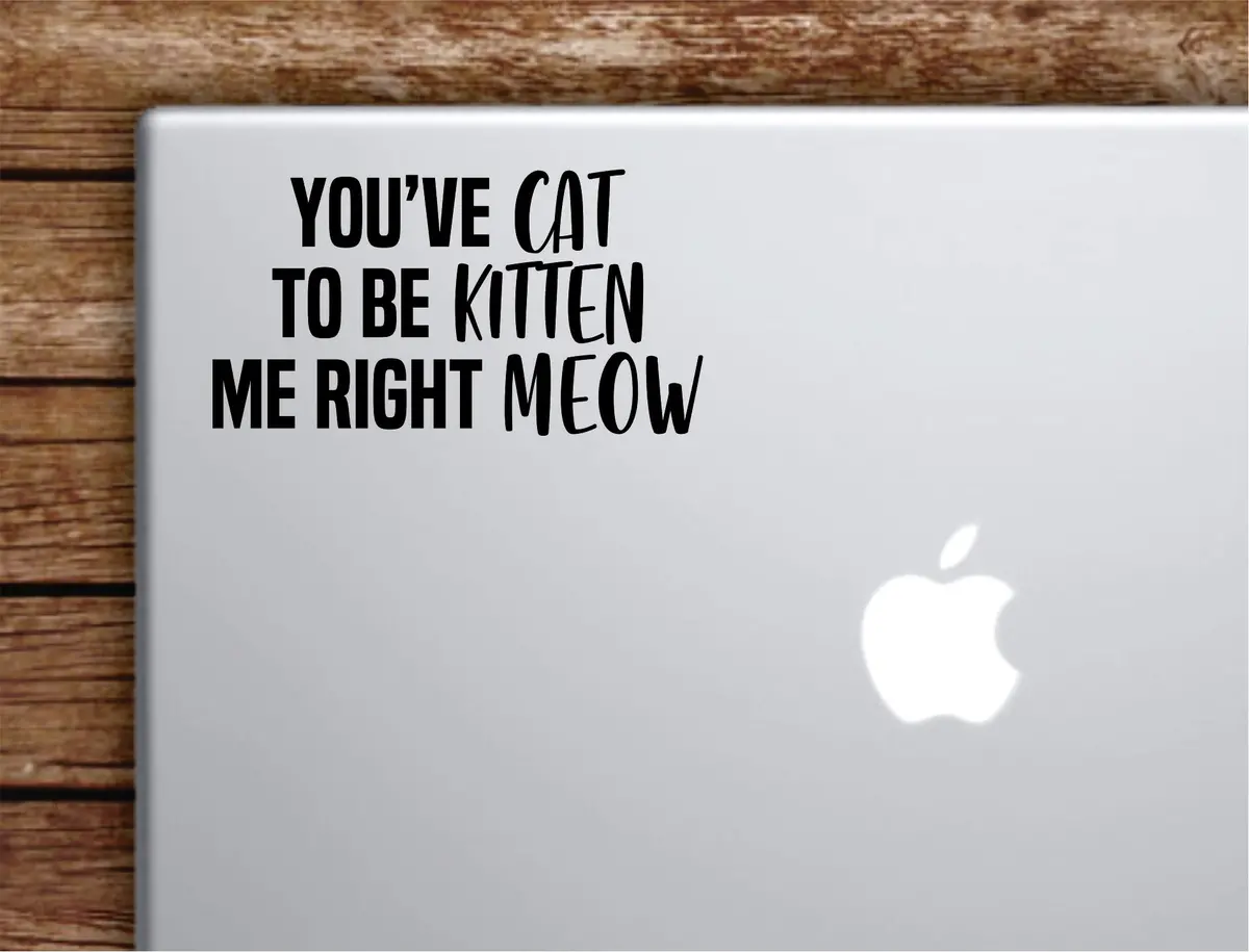 You've Cat To Be Kitten Me Right Meow Laptop Wall Decal Sticker Vinyl Art Quote Macbook Apple Decor Car Window Truck Teen Inspirational Girls Animal Funny 1