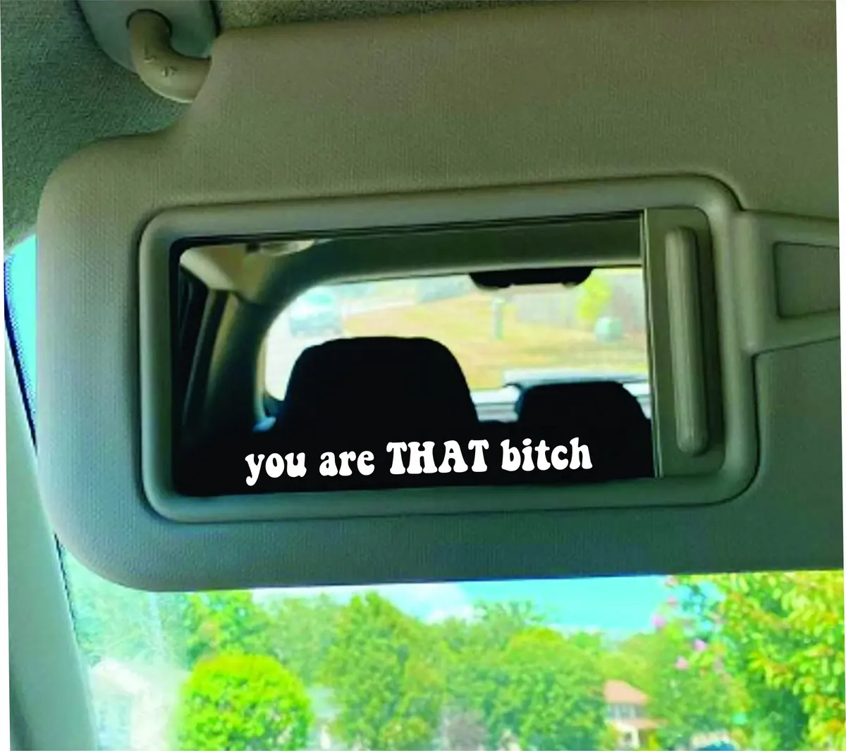 You Are That Bitch Car Decal Truck Window Windshield Jdm Bumper Sticker Vinyl Quote Girls Funny Mom Milf Beauty Make Up Selfie Mirror Groovy Girlfriend 1